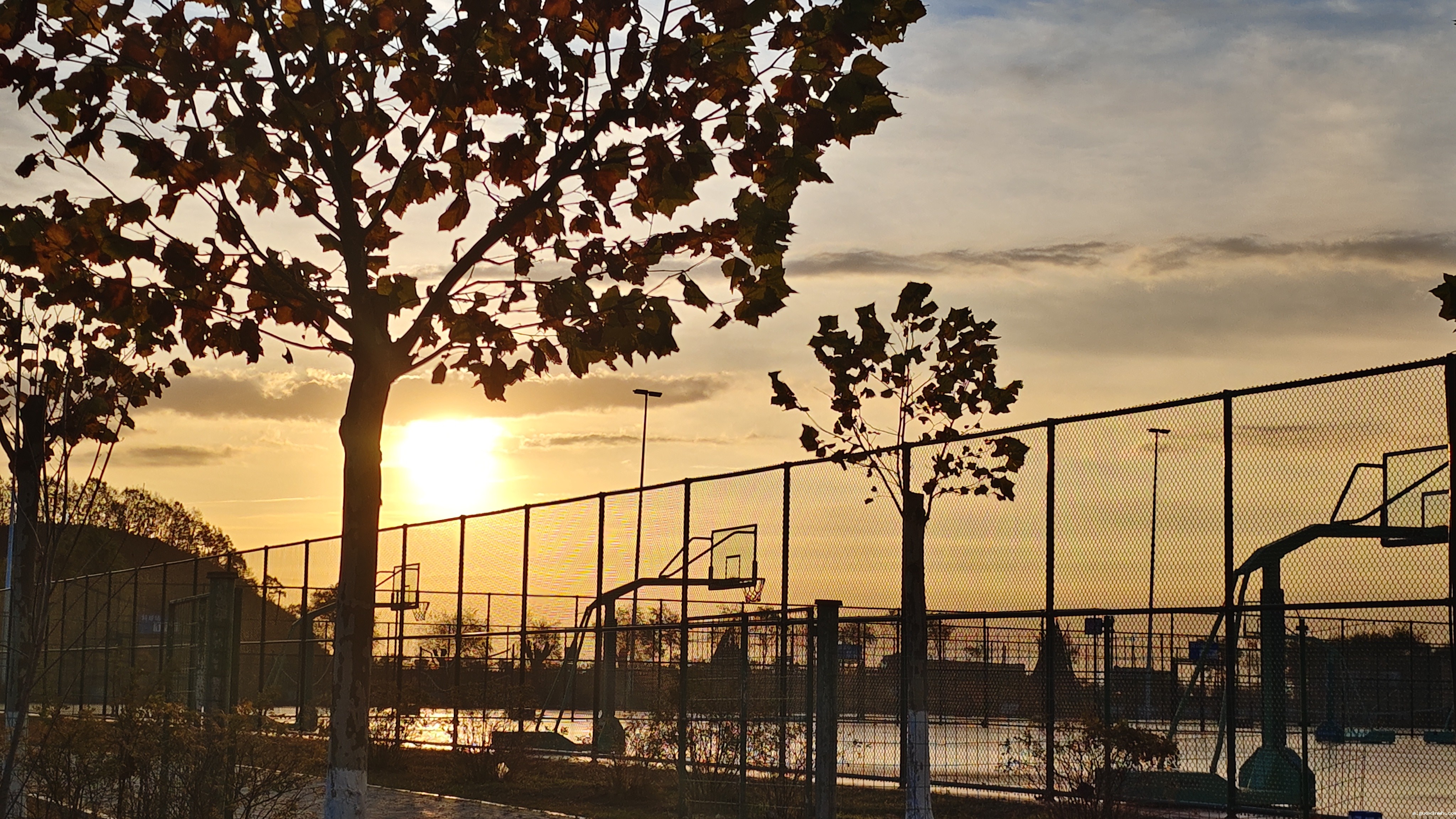 海华学院的夕阳美景